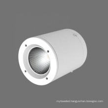 220mm Diameter New Design 75W 100W Heavey Duty Aluminum Anti-glare Surface Mounted Suspended Downlight